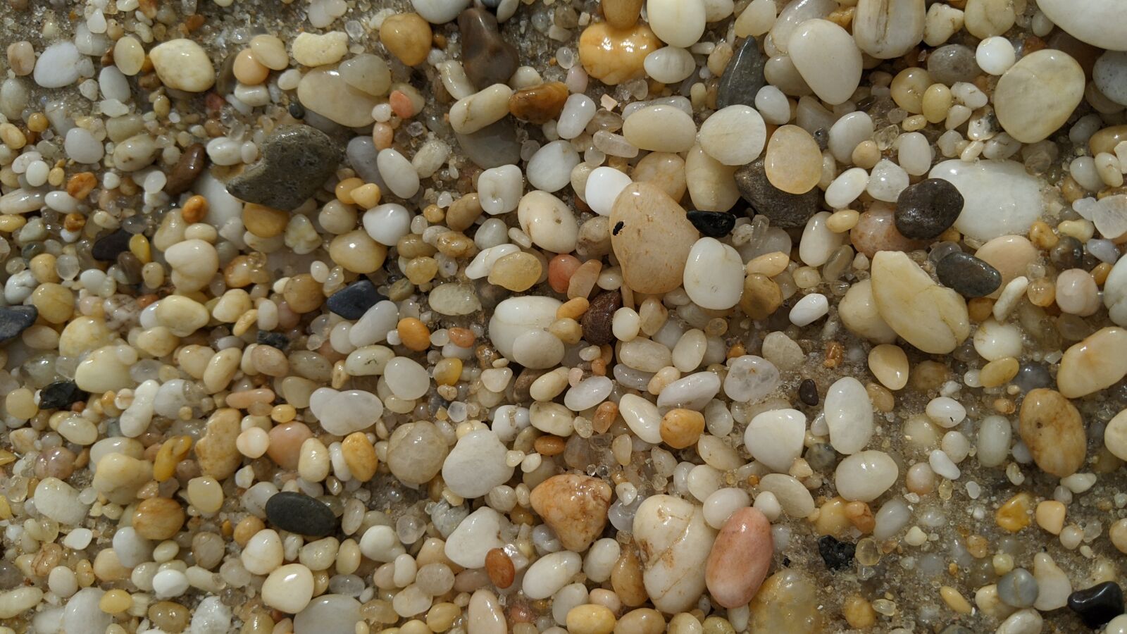 Google Pixel 3 sample photo. Beach, pebbles, zen photography