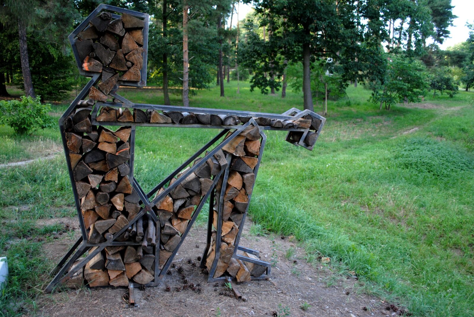 Nikon D3000 sample photo. Man of wood, art photography