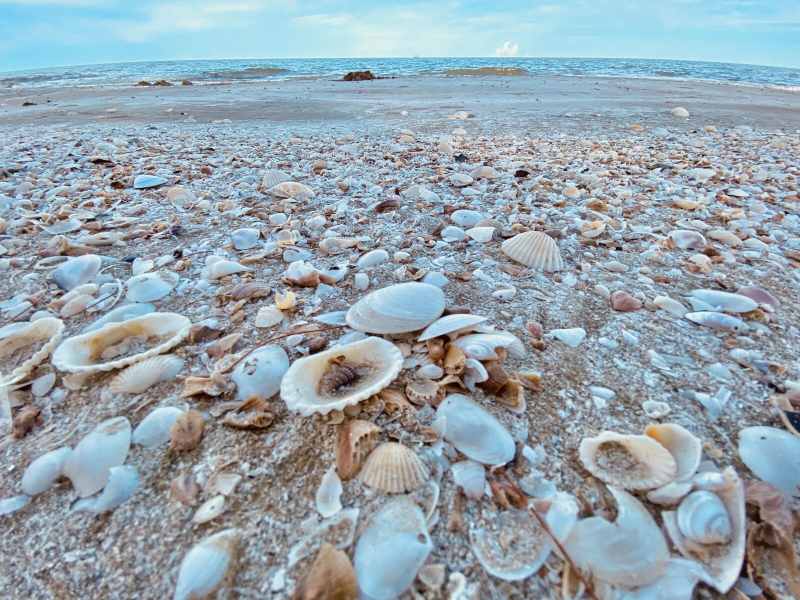 Apple iPhone 11 Pro Max sample photo. Beach, sand, sea photography