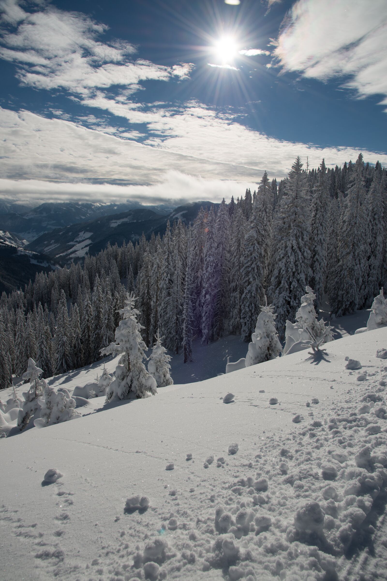 Nikon D800 sample photo. Winter, snow, nature photography