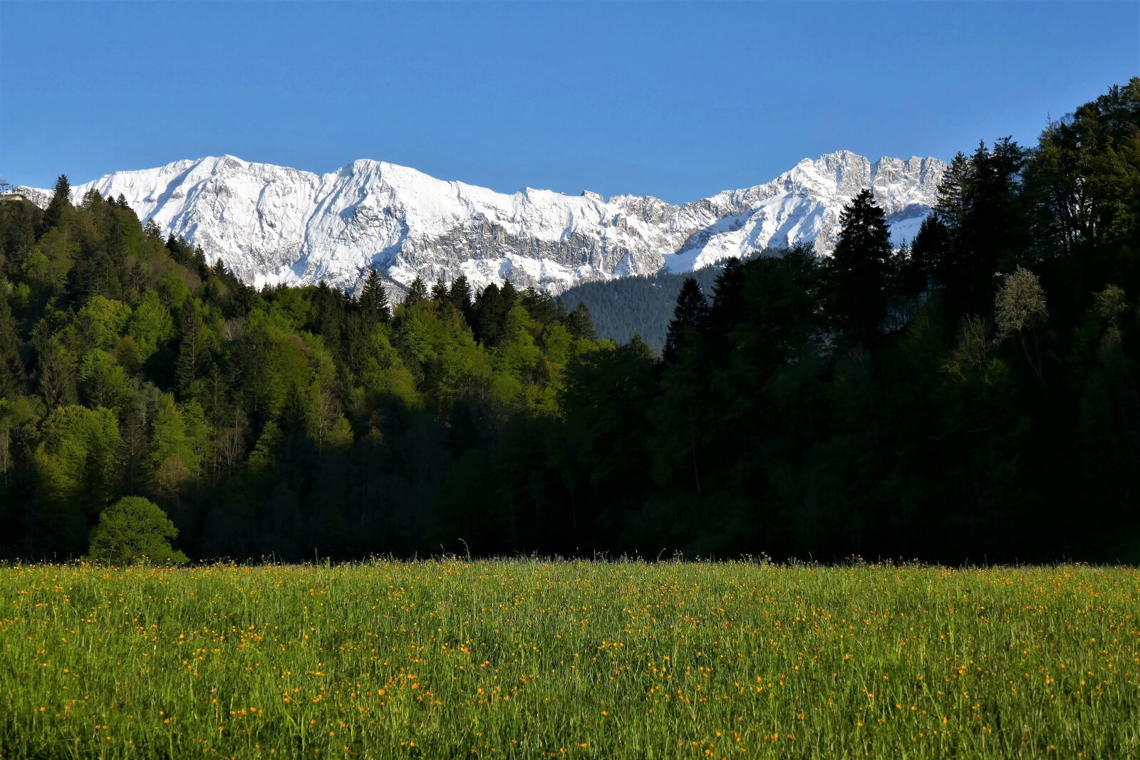Panasonic DMC-TZ101 sample photo. Mountains, alpine, karwendel photography