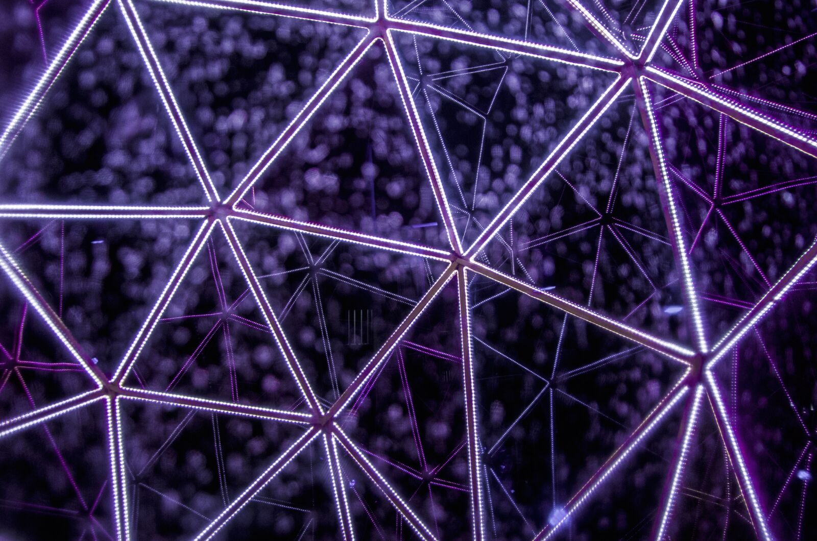 Nikon D7000 sample photo. Structure, purple, light photography