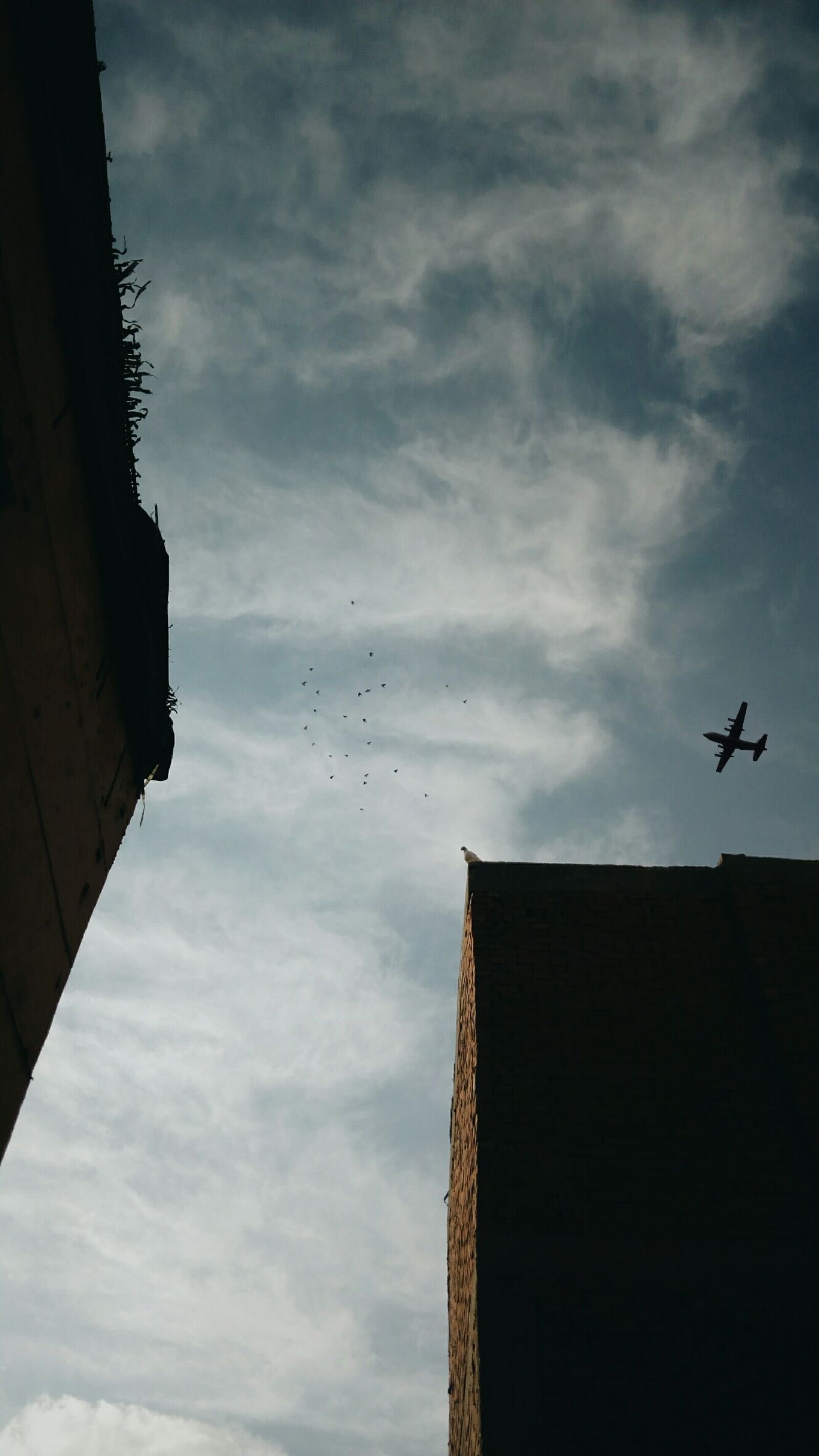 Infinix HOT 4 sample photo. Airplane, birds, building, clouds photography