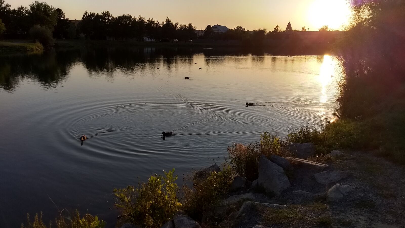 Motorola Moto G (5) Plus sample photo. Sunset, sun, the sky photography