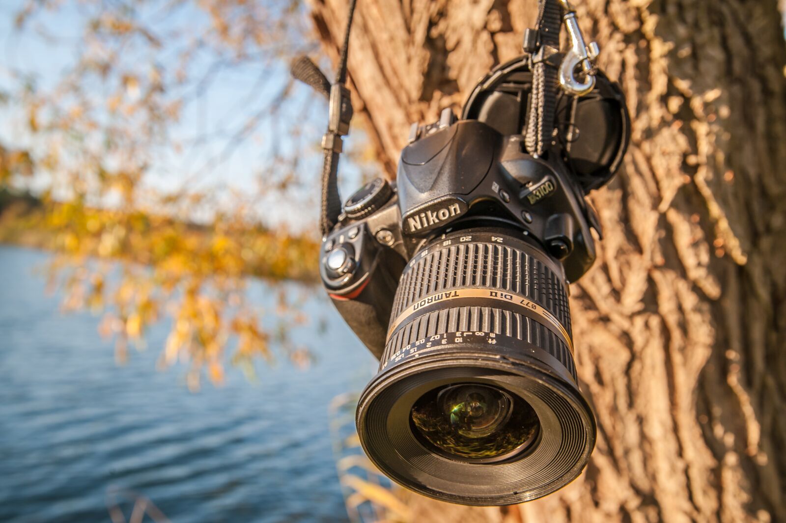 Nikon D700 sample photo. Camera, tree, close up photography