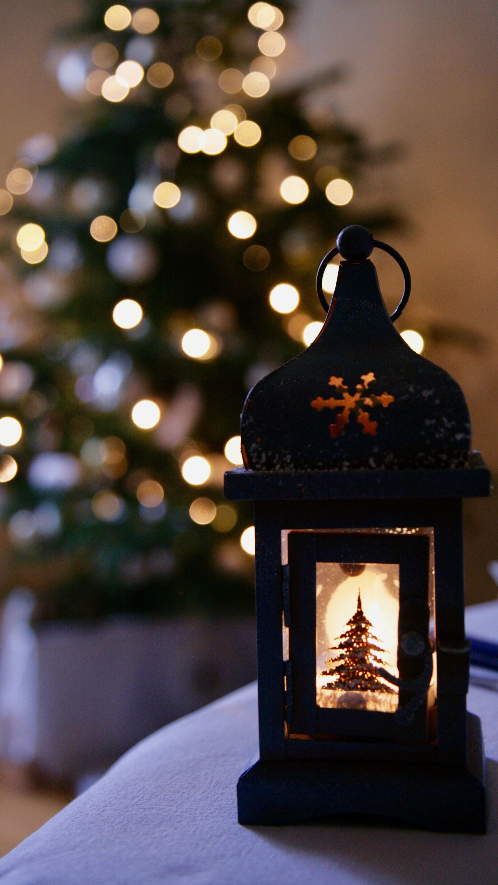 Canon EOS 400D (EOS Digital Rebel XTi / EOS Kiss Digital X) sample photo. Lantern, magic, fantasy photography