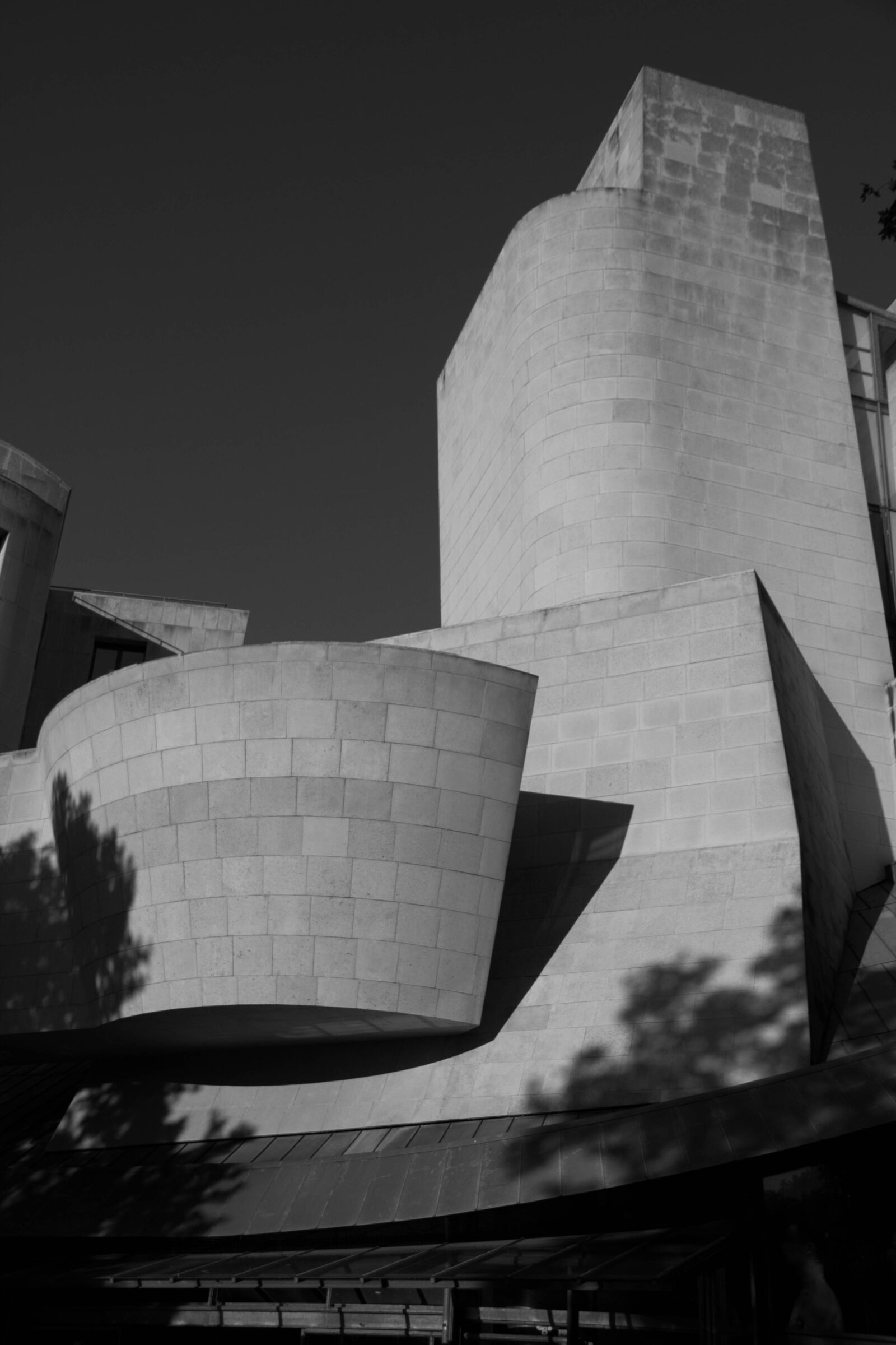 Canon EF-S 18-135mm F3.5-5.6 IS sample photo. Gehry, cinema, paris photography