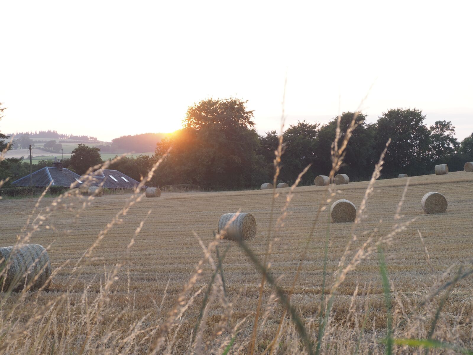 Olympus OM-D E-M10 sample photo. August, sunset, sun photography