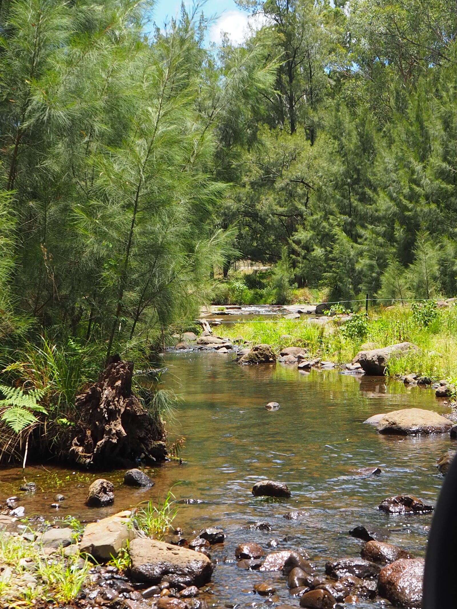 Olympus OM-D E-M10 III sample photo. Killarney, queensland, scenic rim photography