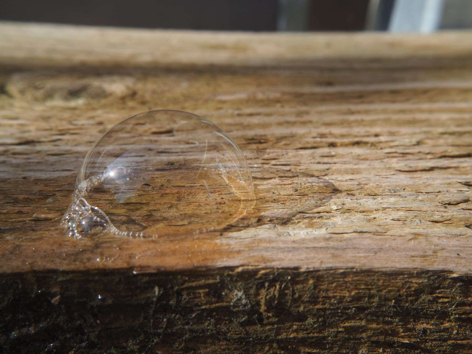 Olympus OM-D E-M10 sample photo. Soap bubble, ball, make photography