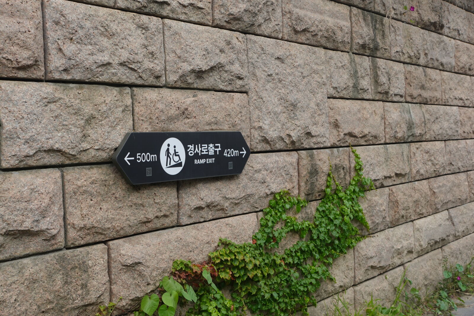Sony ZV-1 sample photo