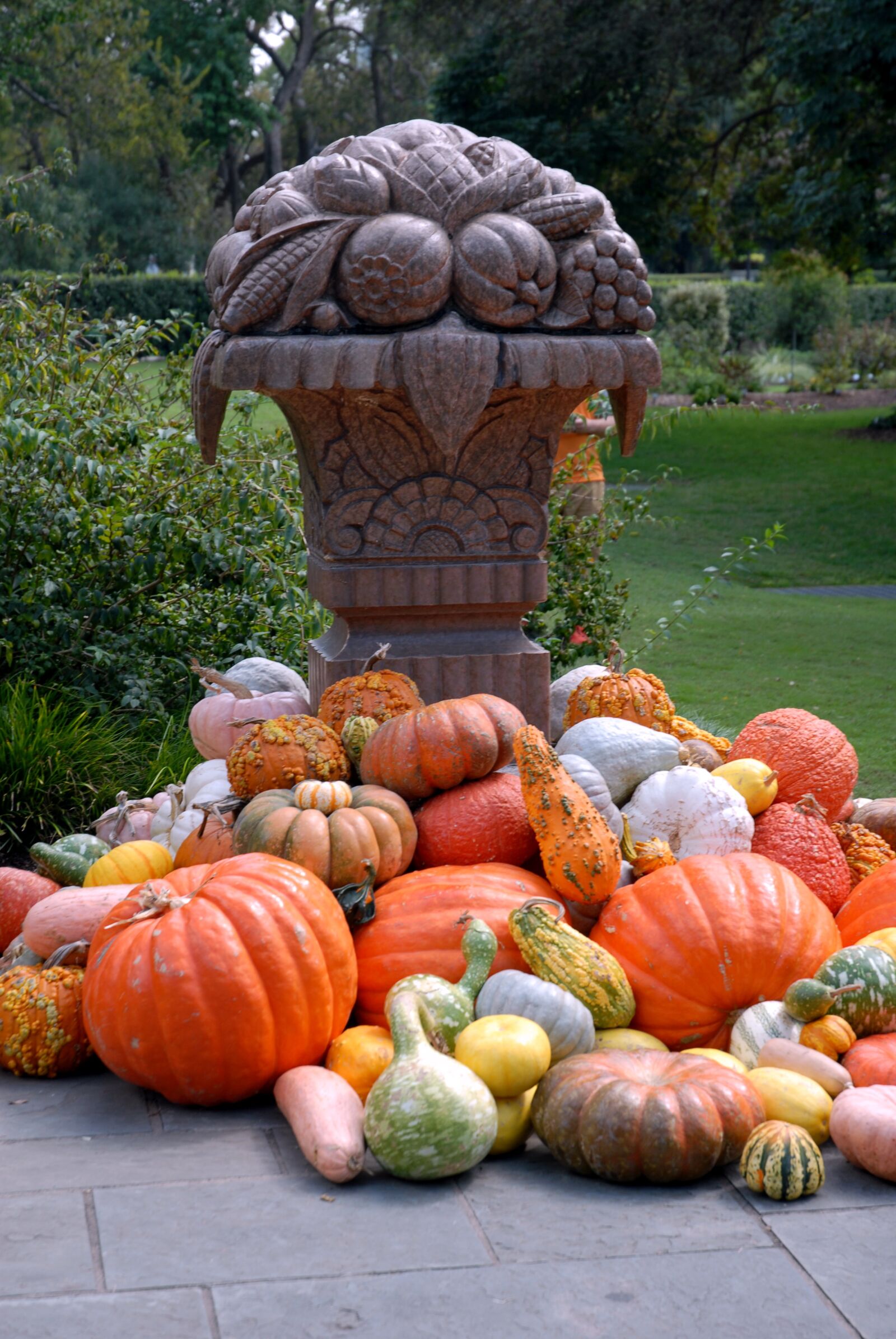 Nikon D200 sample photo. Pumpkin, october, halloween photography
