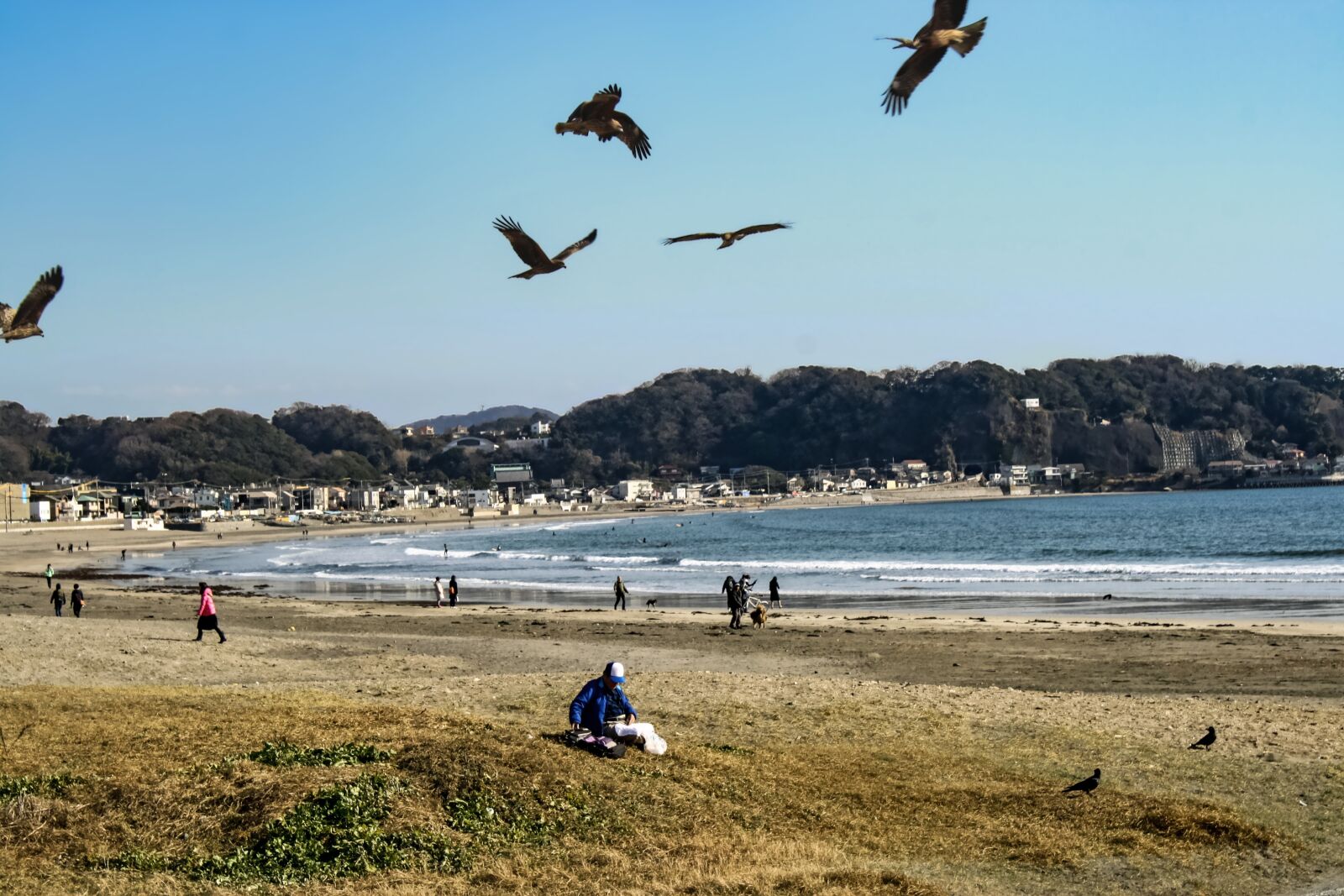 Canon EOS 1000D (EOS Digital Rebel XS / EOS Kiss F) sample photo. Kamakura, beach, japan photography