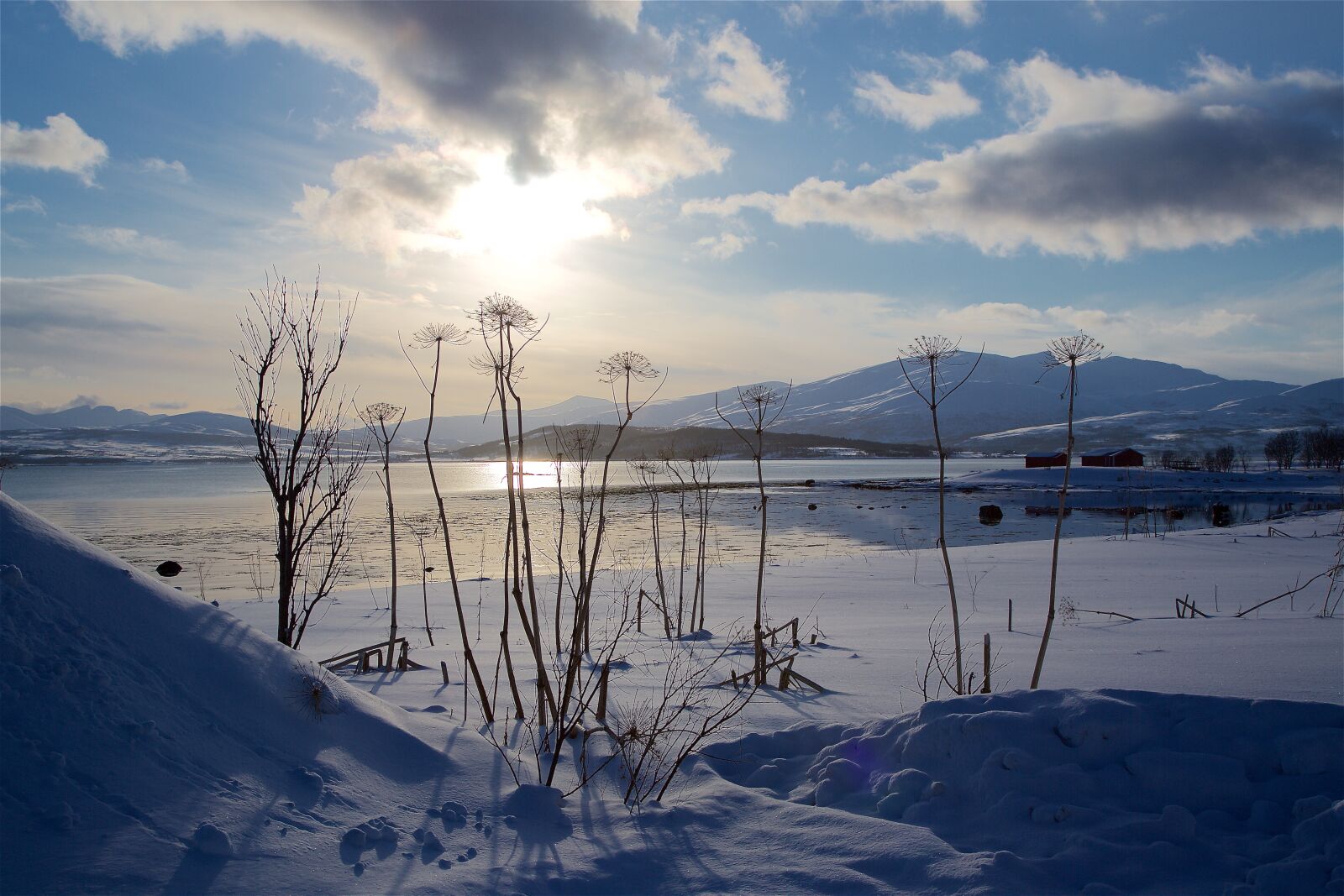 Canon EF 24-105mm F4L IS USM sample photo. Winter, winter, landscape photography