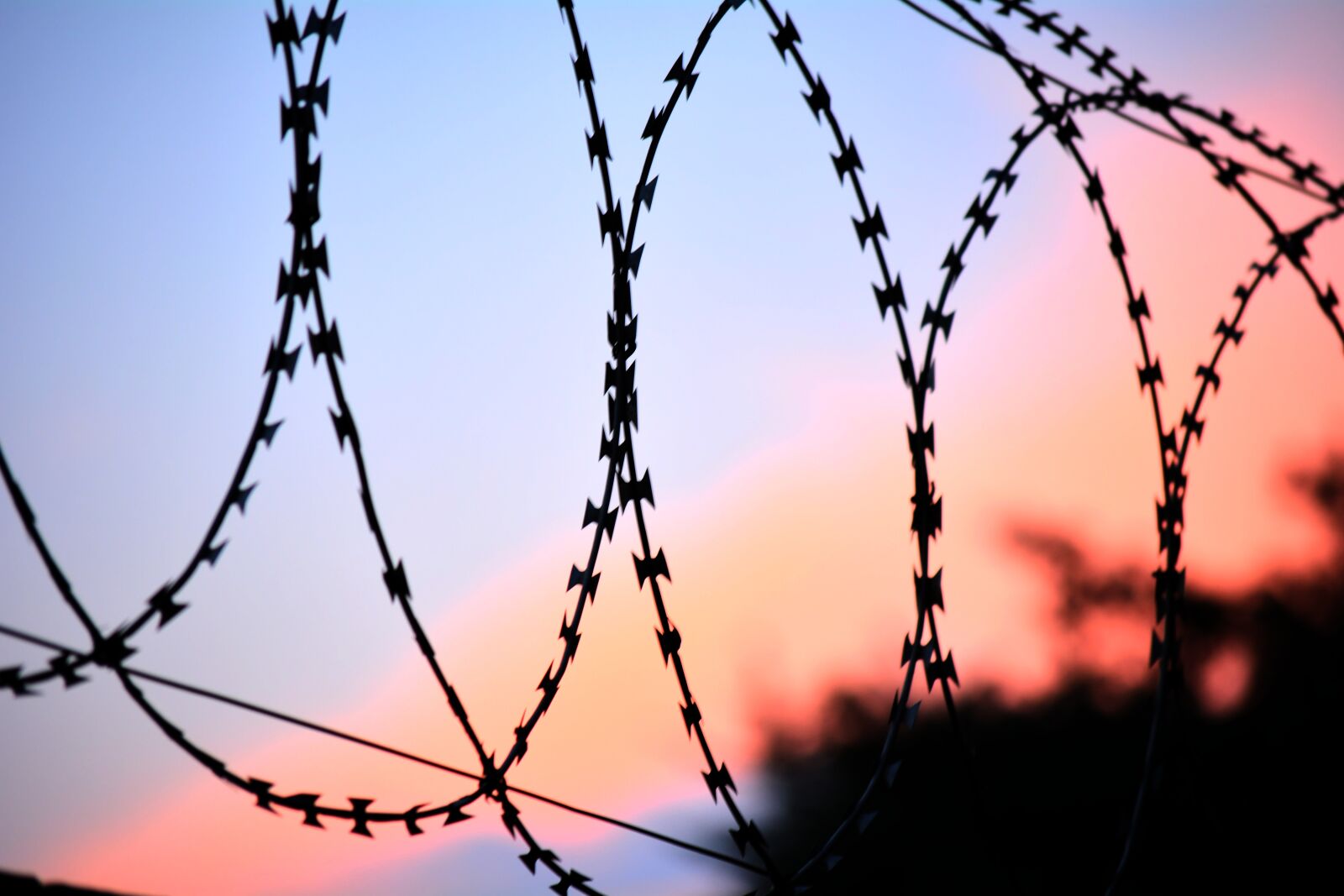Nikon D5200 sample photo. Steel wire, security fence photography