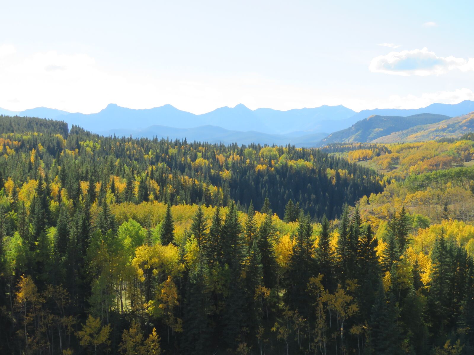 Canon PowerShot SX60 HS sample photo. Forest, mountains, autumn photography