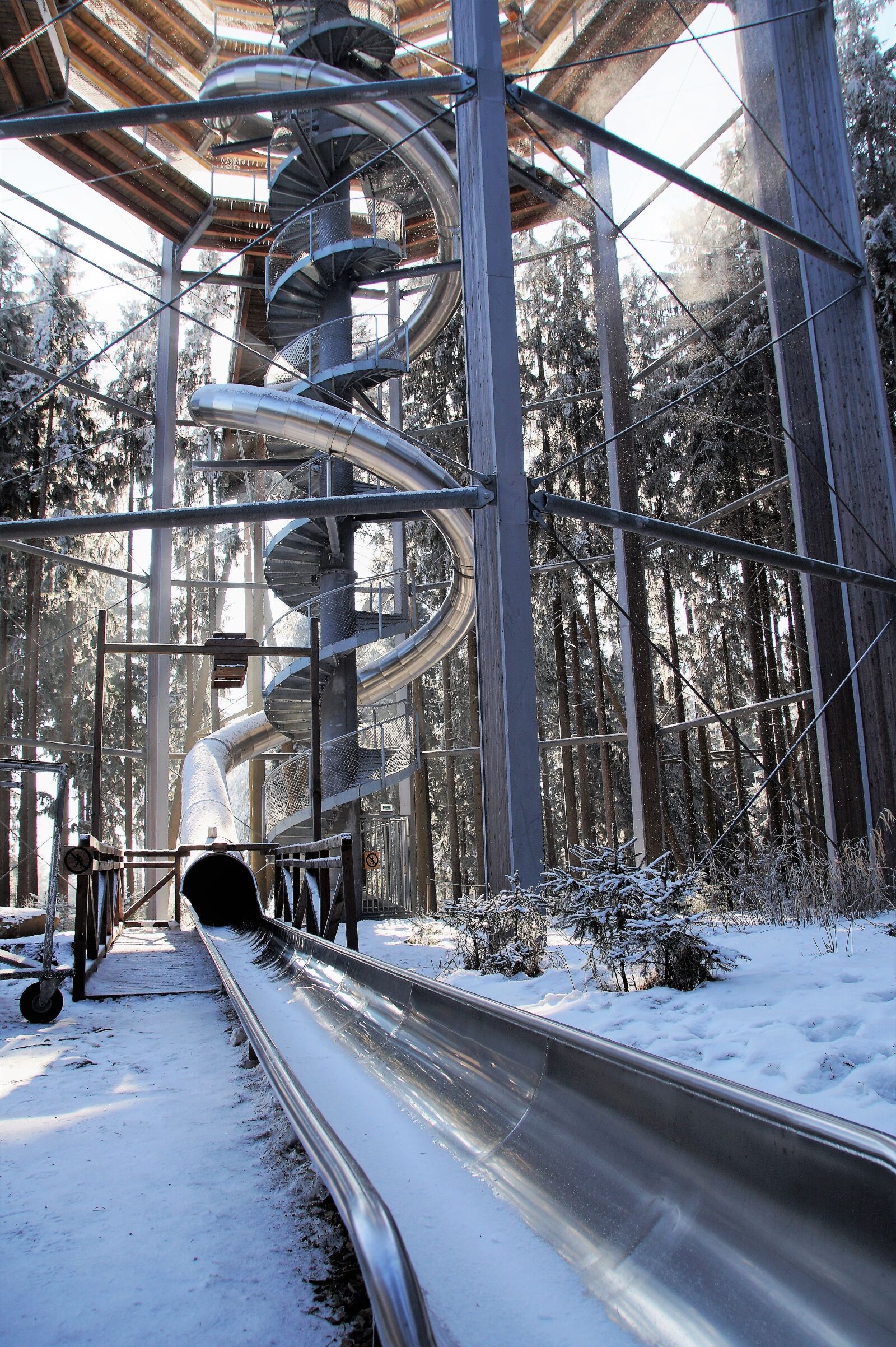 Sony SLT-A58 sample photo. Trail treetops, lipno, slide photography