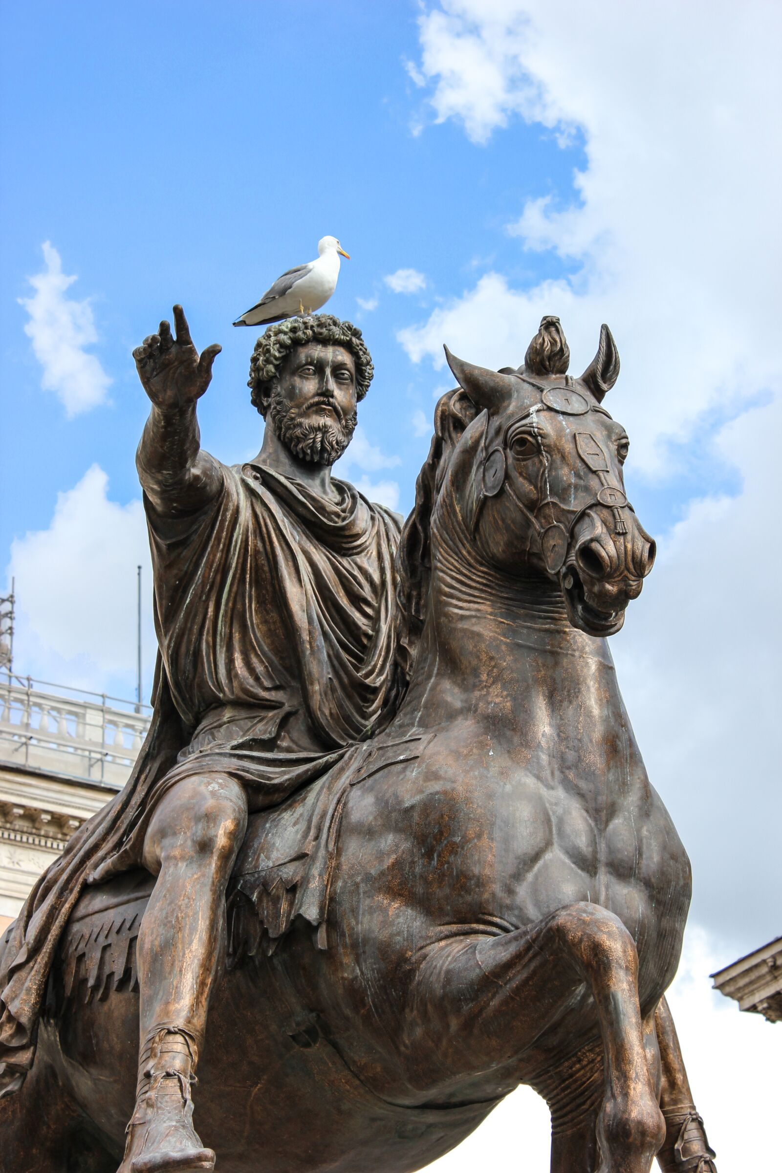 Canon EOS 550D (EOS Rebel T2i / EOS Kiss X4) sample photo. Statue, equestrian, monument photography