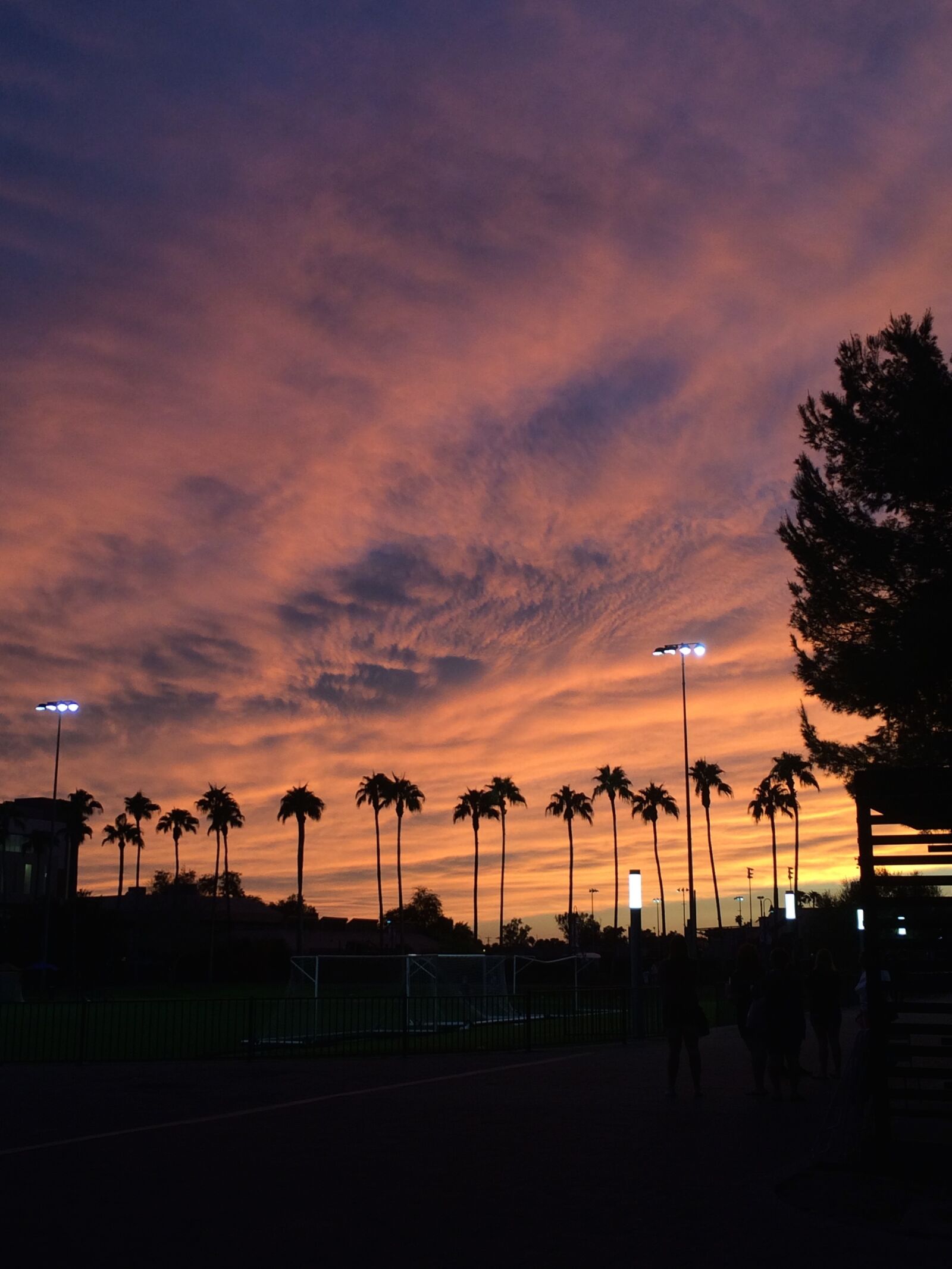iPhone 5s back camera 4.12mm f/2.2 sample photo. Sunset, arizona, phoenix photography