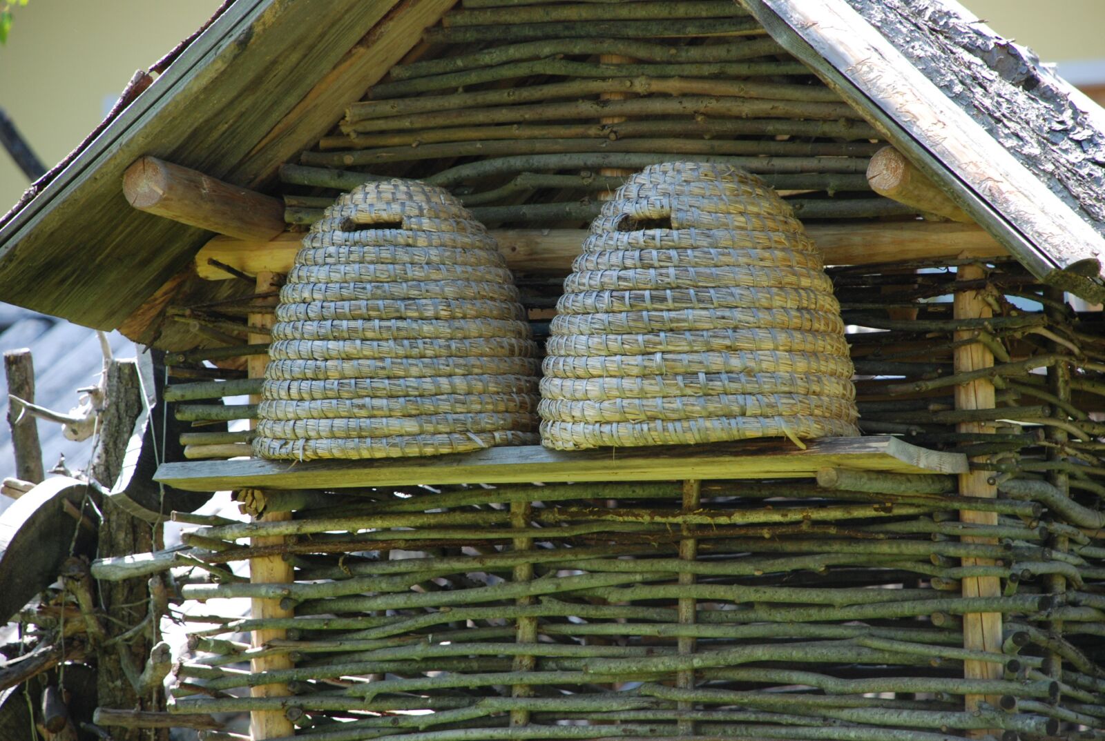 Nikon D80 sample photo. Hive, honey bee, bee photography