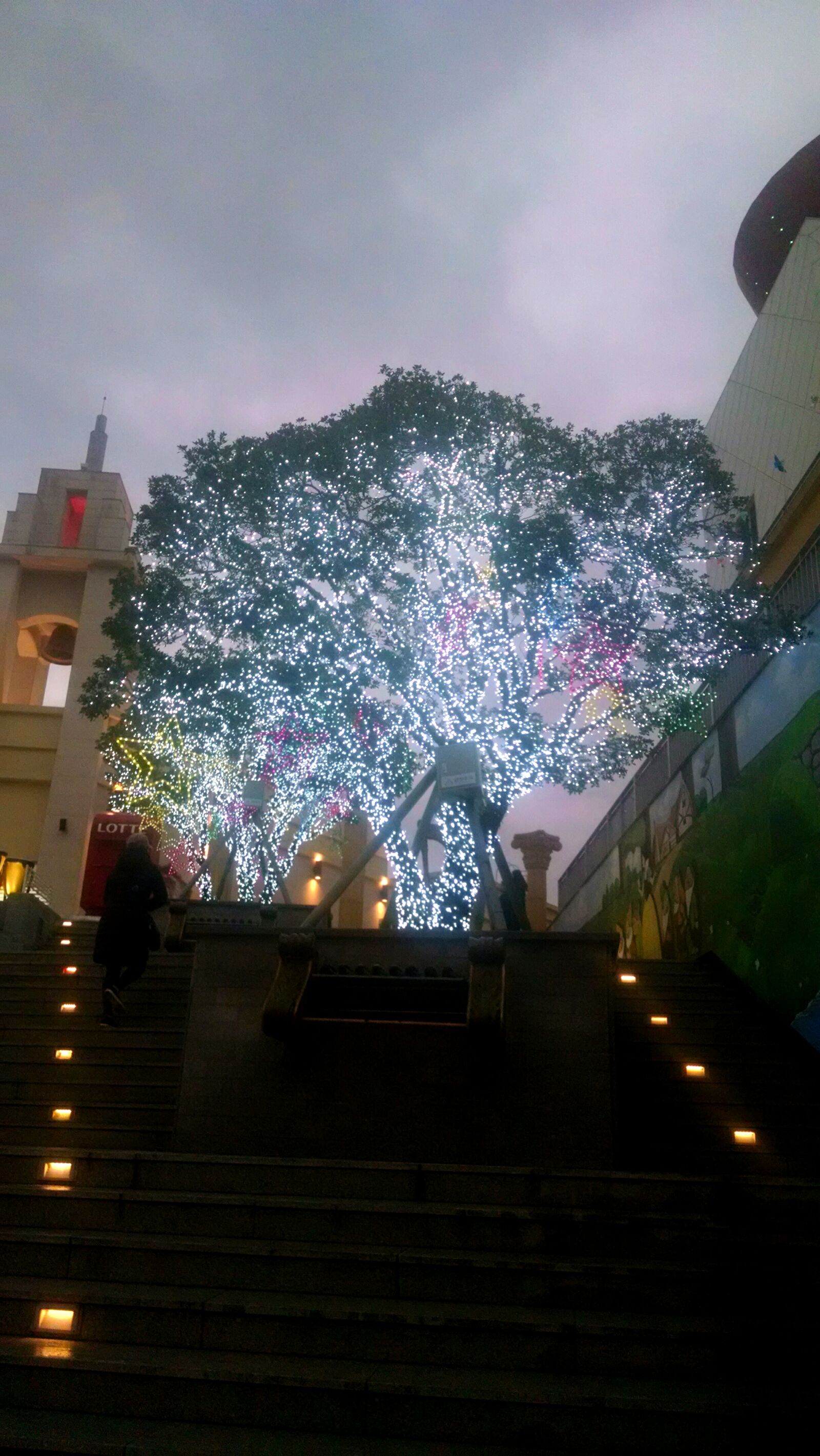 Motorola Moto X (1st Gen) sample photo. Decoration, lights, tree, trees photography