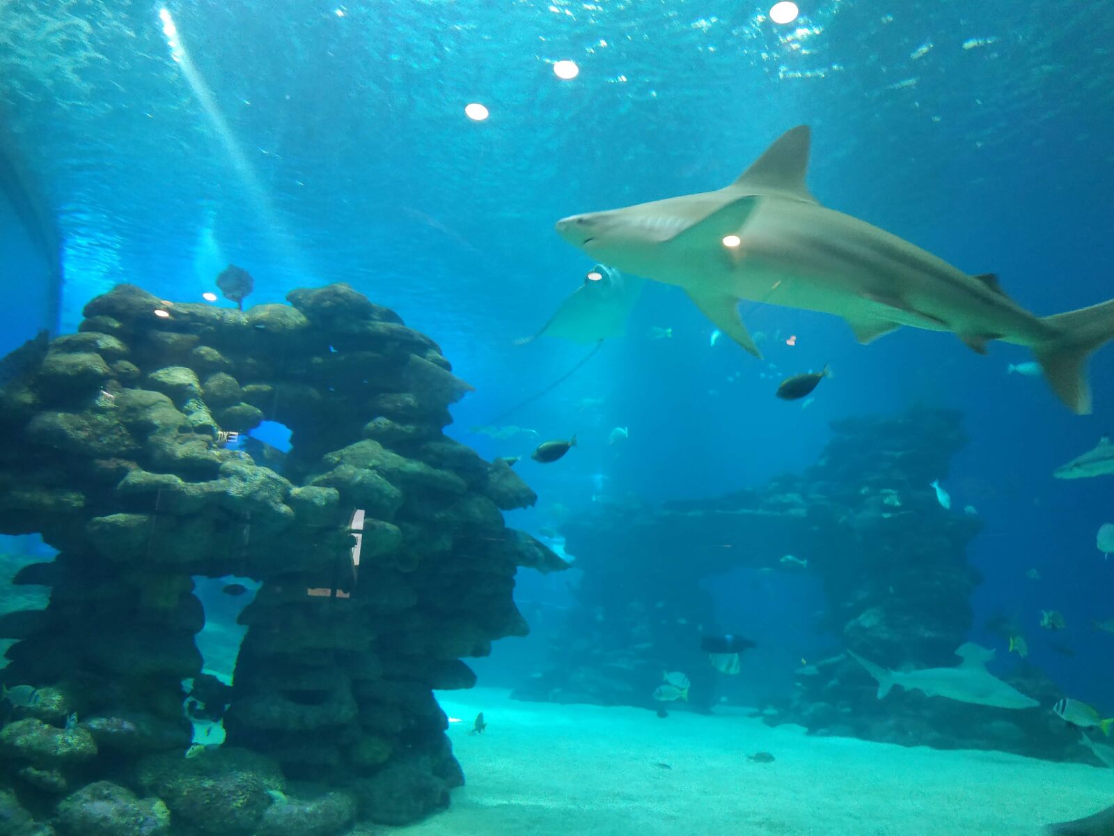 Xiaomi Redmi Note 5 sample photo. Eilat, tourism, israel photography