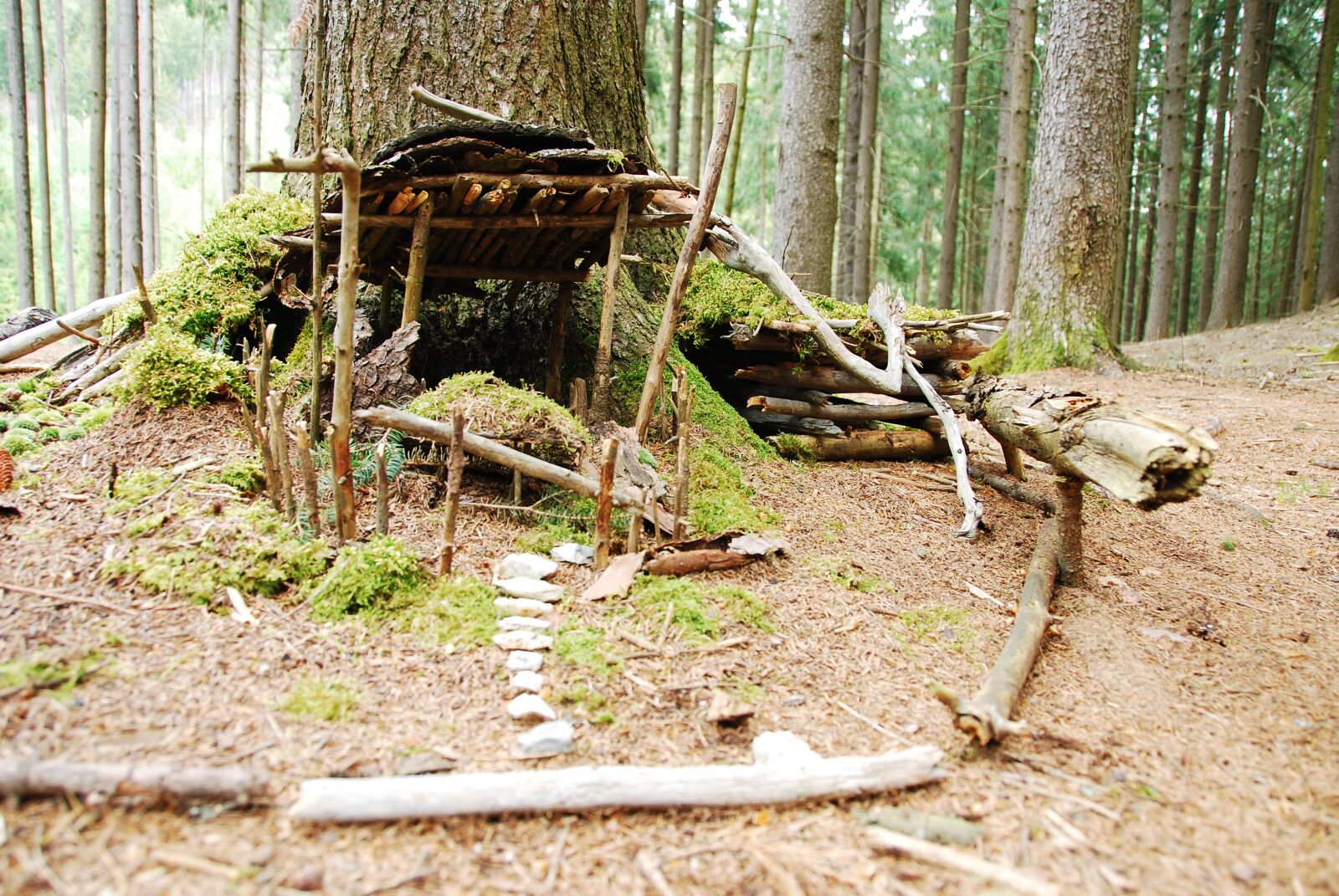 Nikon D80 sample photo. Treehouse, artfully, moss photography
