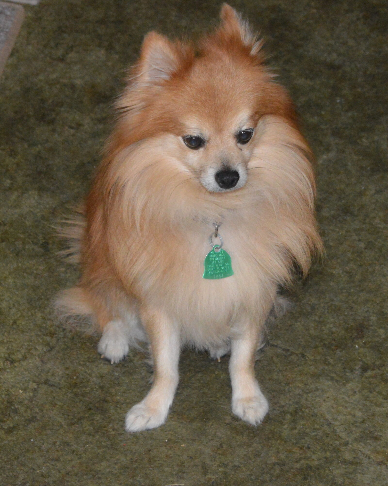 Nikon D3200 sample photo