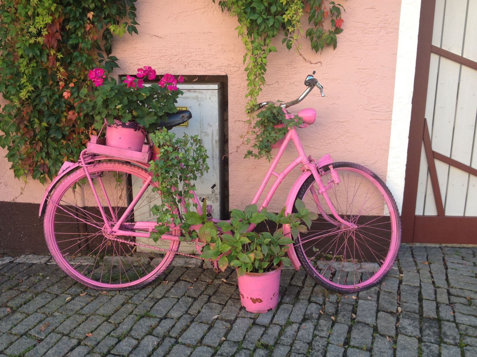 iPhone 4S back camera 4.28mm f/2.4 sample photo. Pink, bike, bicycle photography