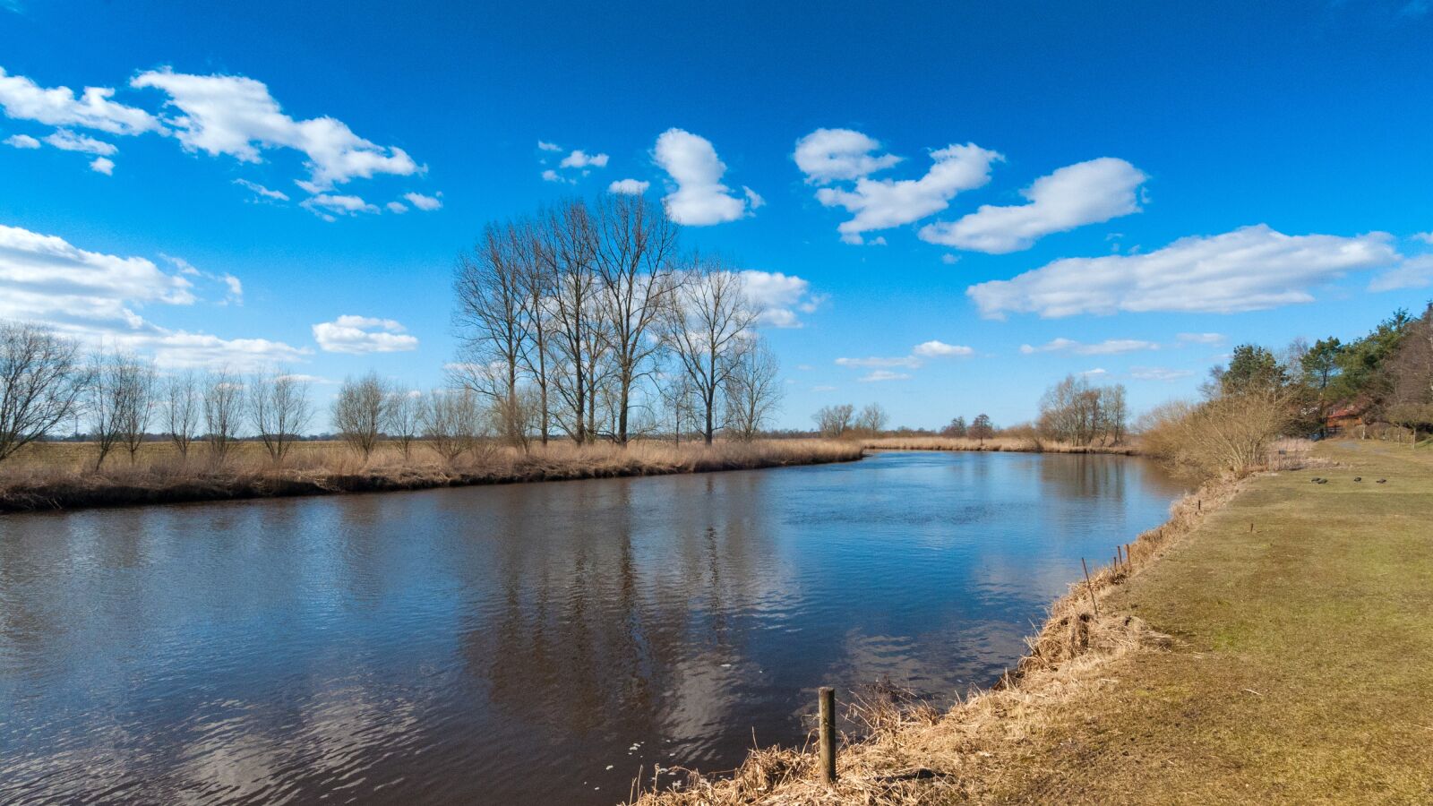 Nikon D90 sample photo. Oste, river, lower saxony photography