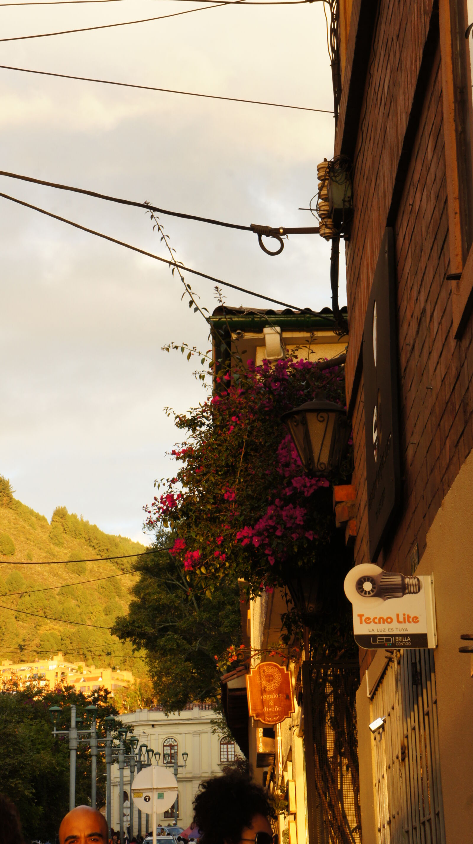 Sony Alpha NEX-3 + Sony E 18-55mm F3.5-5.6 OSS sample photo. Afternoon, bogota, colombia, flowers photography