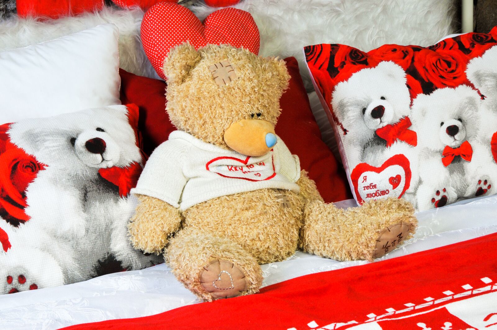 Nikon D300S sample photo. Christmas, celebration, winter photography