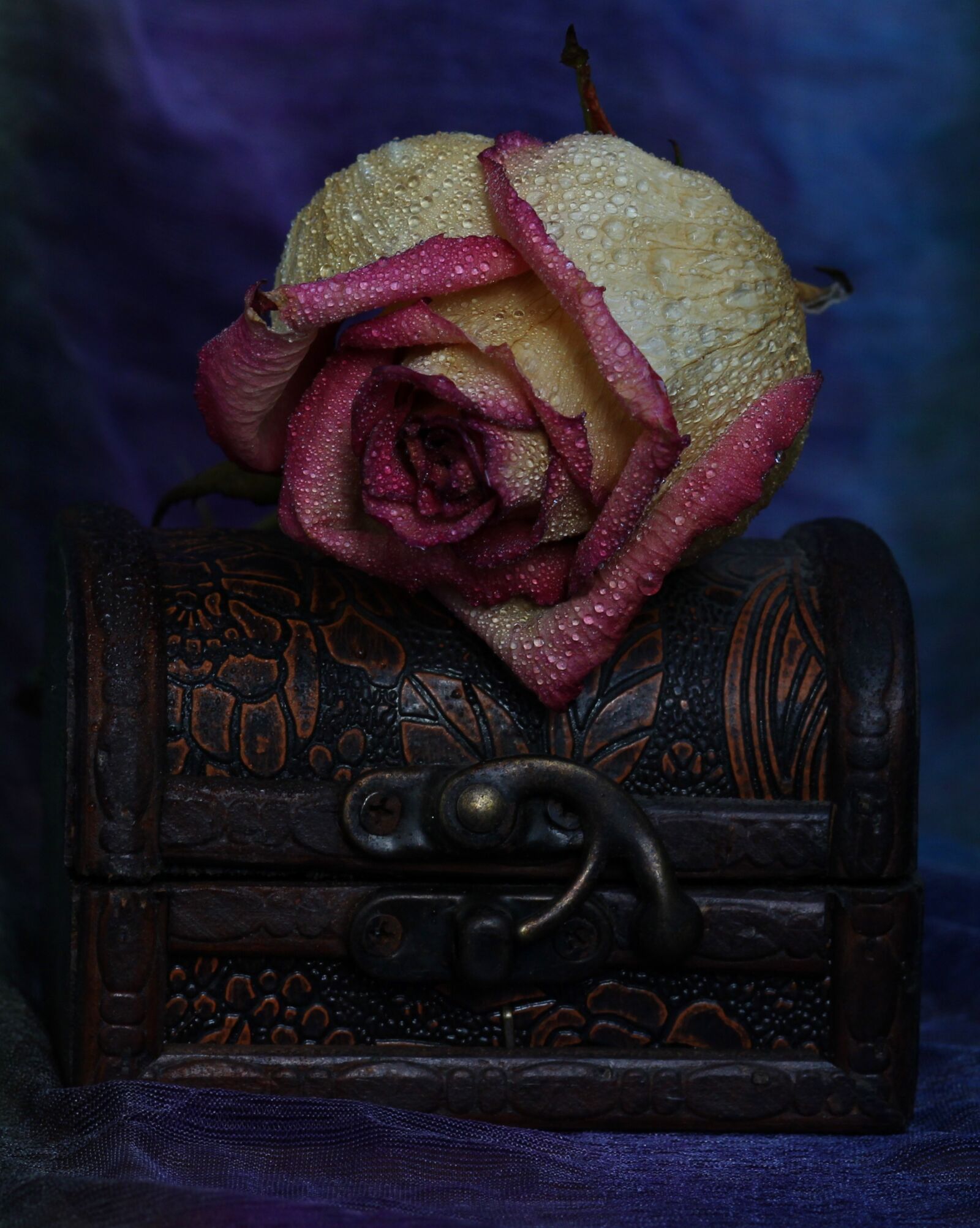 Canon EOS 700D (EOS Rebel T5i / EOS Kiss X7i) + Canon EF 85mm F1.8 USM sample photo. Rose, jewelry box, flower photography
