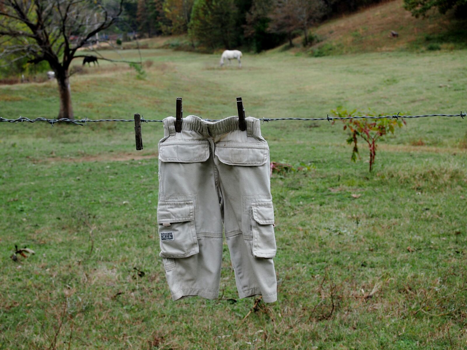 Olympus PEN E-PL3 sample photo. Country, clothesline, nature photography