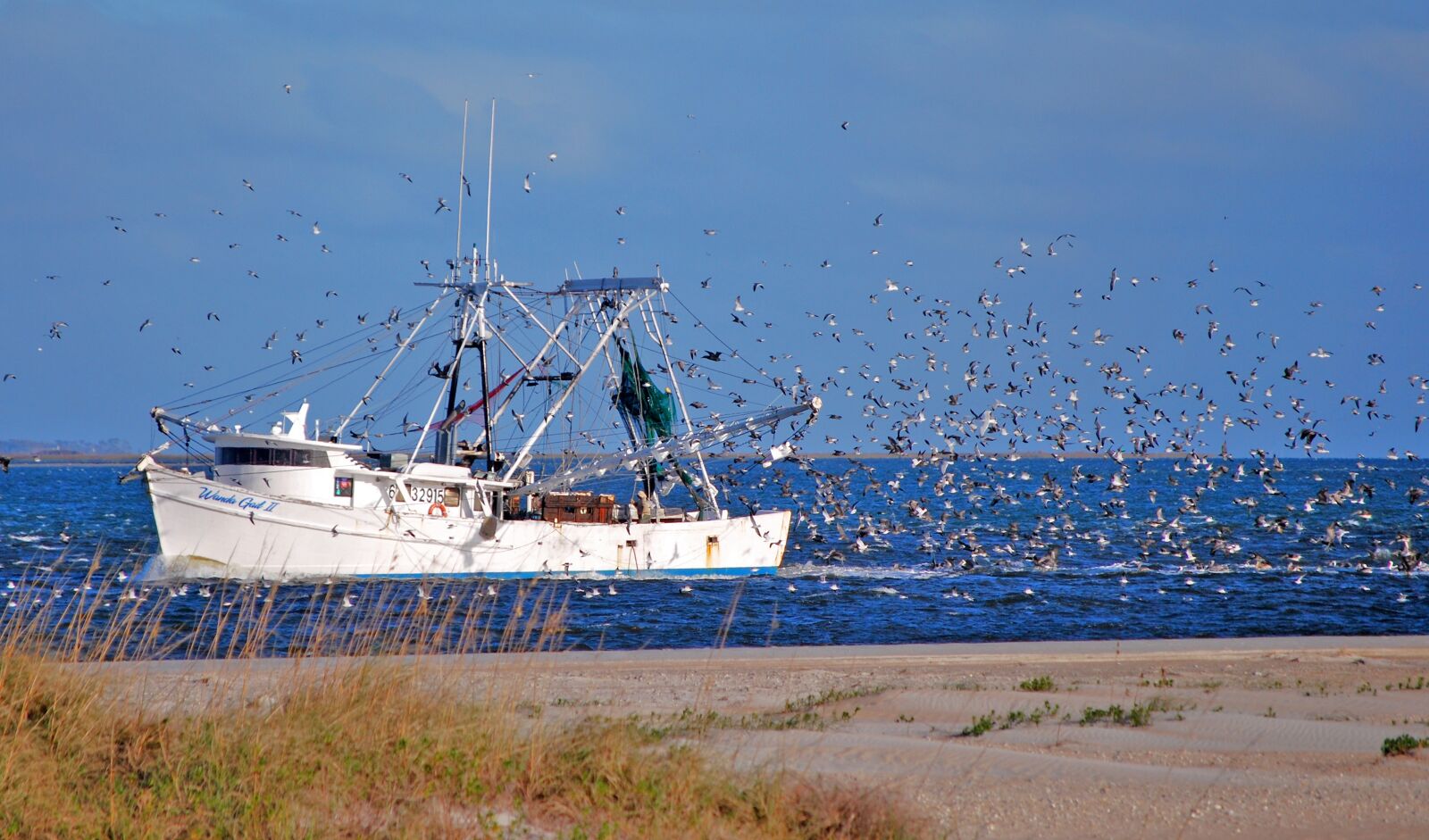 Nikon D60 sample photo. Boat, birds, ocean photography