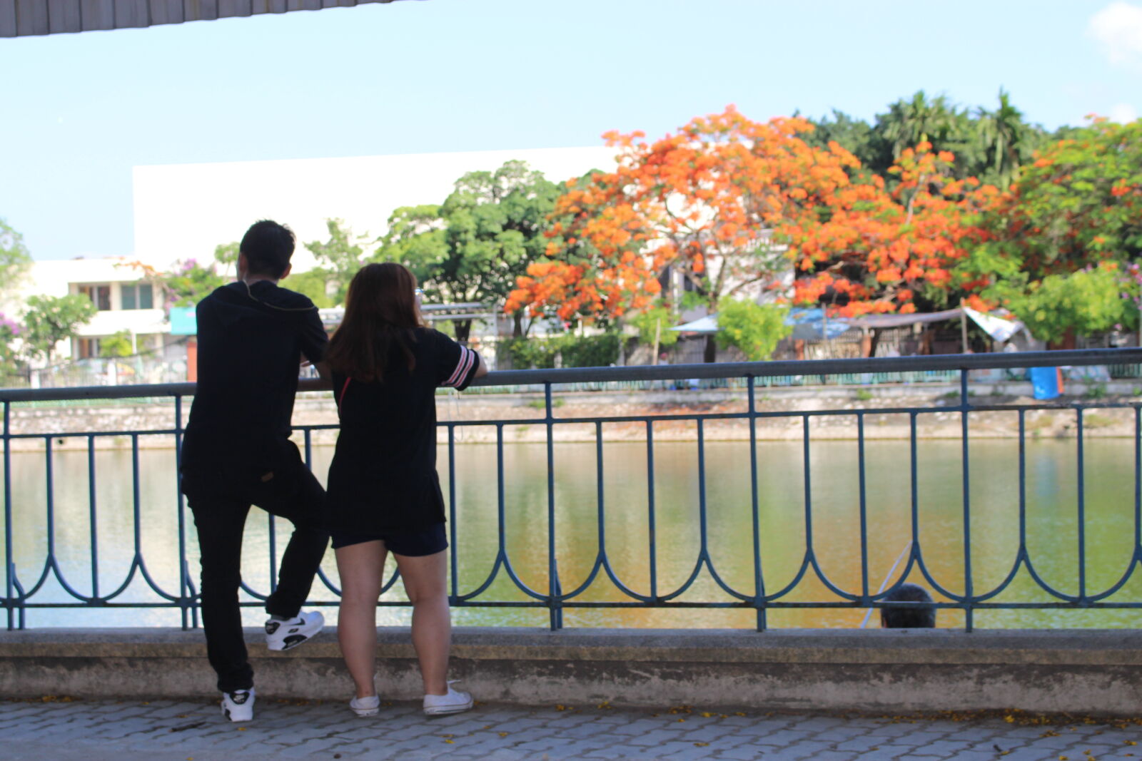 Canon EOS 700D (EOS Rebel T5i / EOS Kiss X7i) sample photo