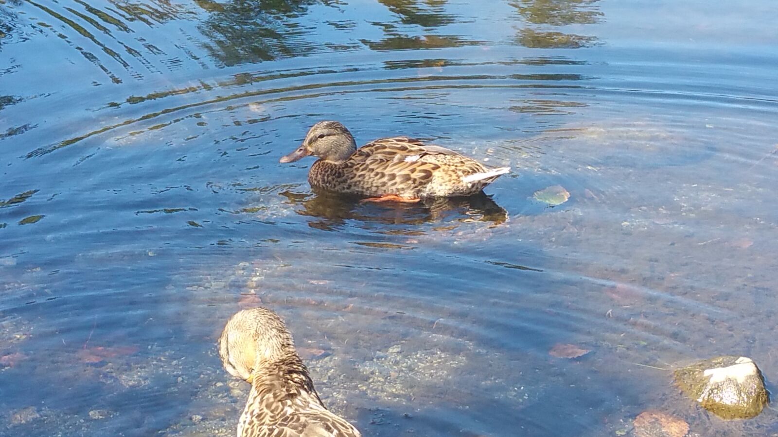 Samsung Galaxy Note4 sample photo. River, canada, penticton photography