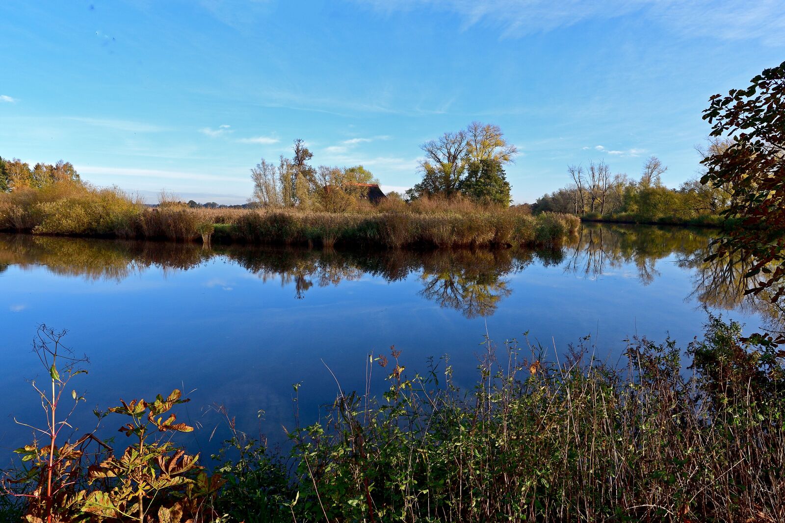 Nikon D500 sample photo. Wümme, river, autumn photography