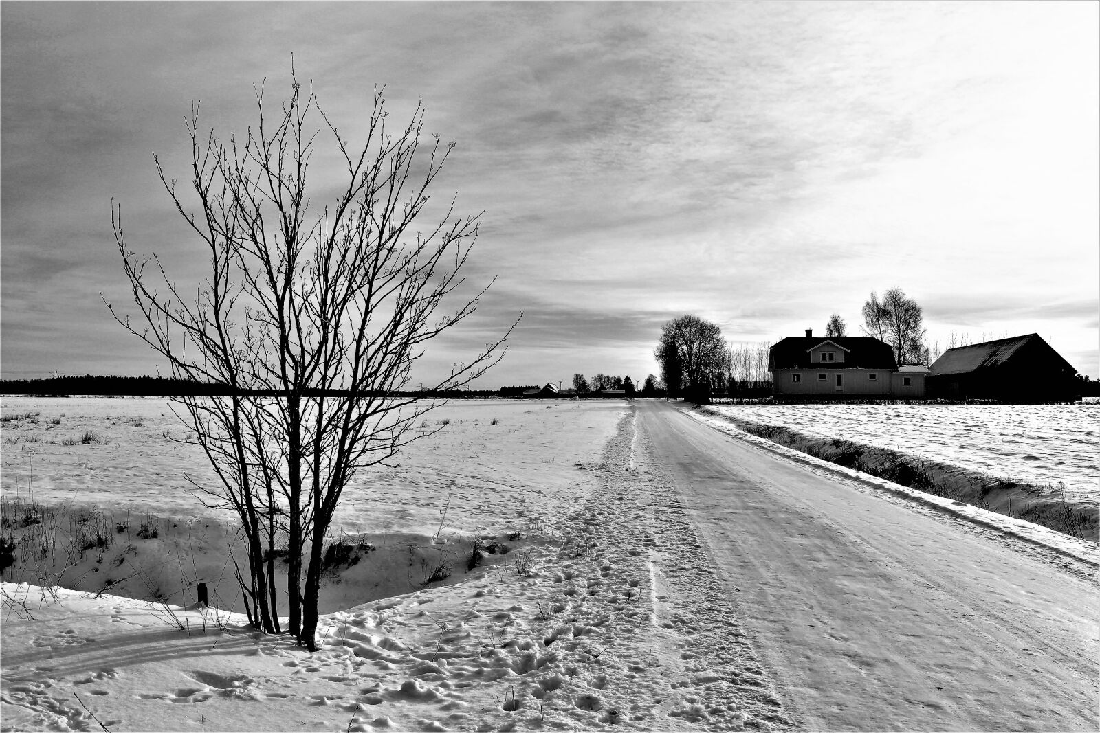 Canon EOS 700D (EOS Rebel T5i / EOS Kiss X7i) sample photo. Road, winter, nature photography
