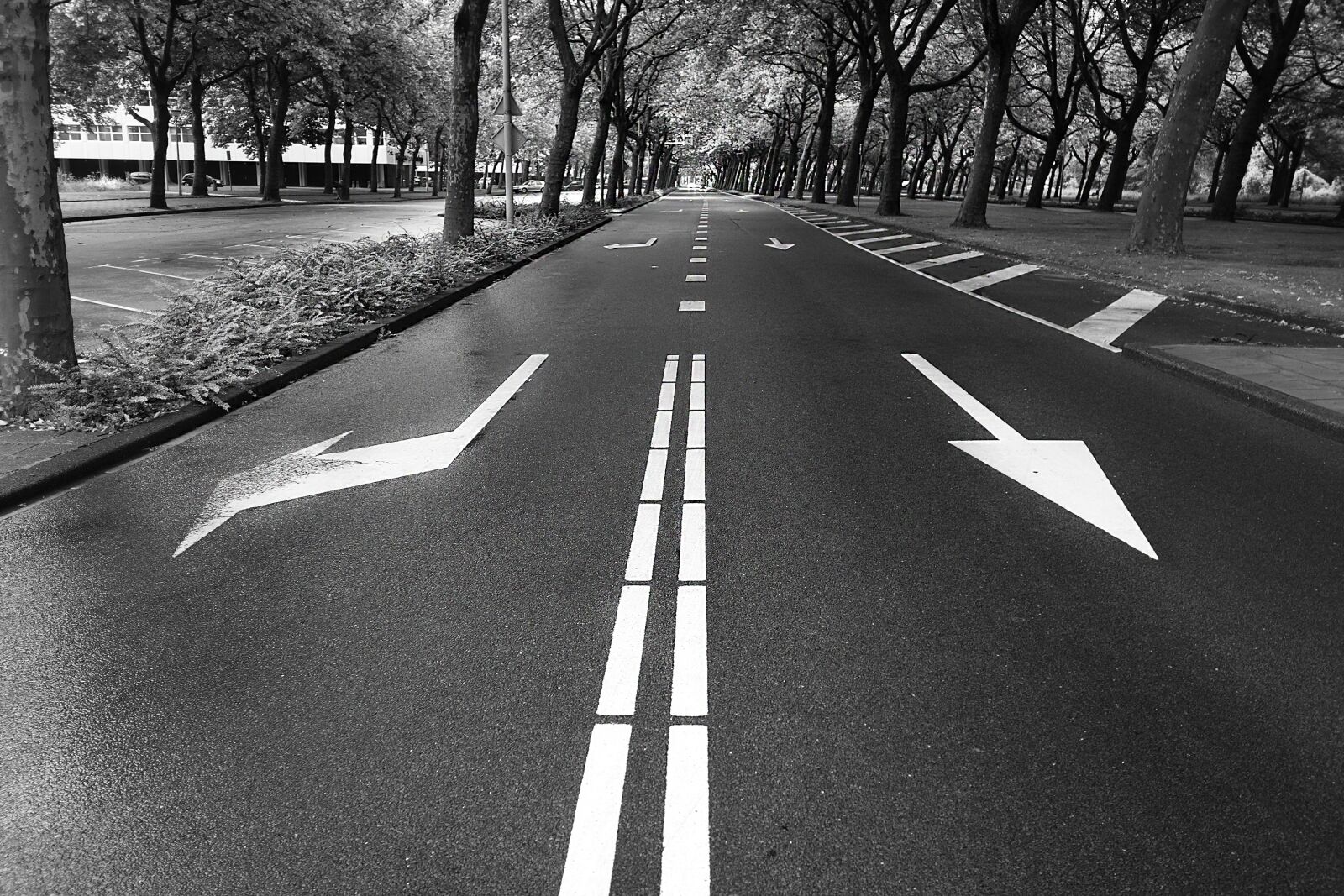 Sony Cyber-shot DSC-RX100 sample photo. Road, arrow, marker photography
