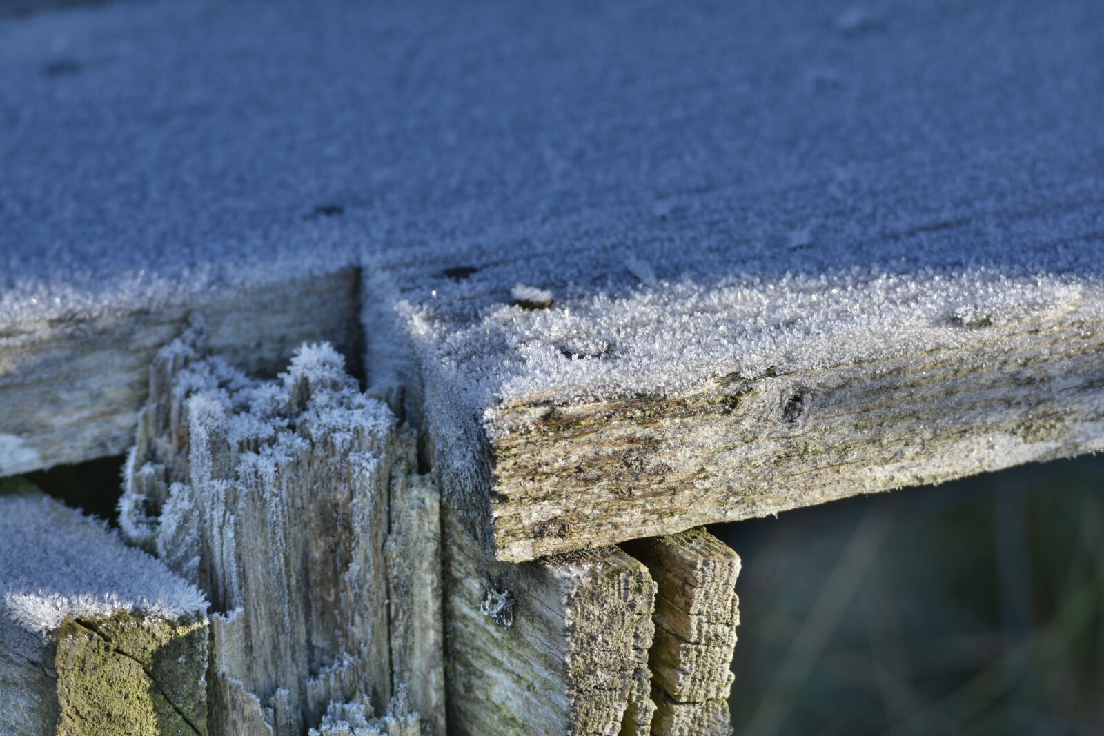 Nikon D7100 sample photo. Ice, wood, winter photography