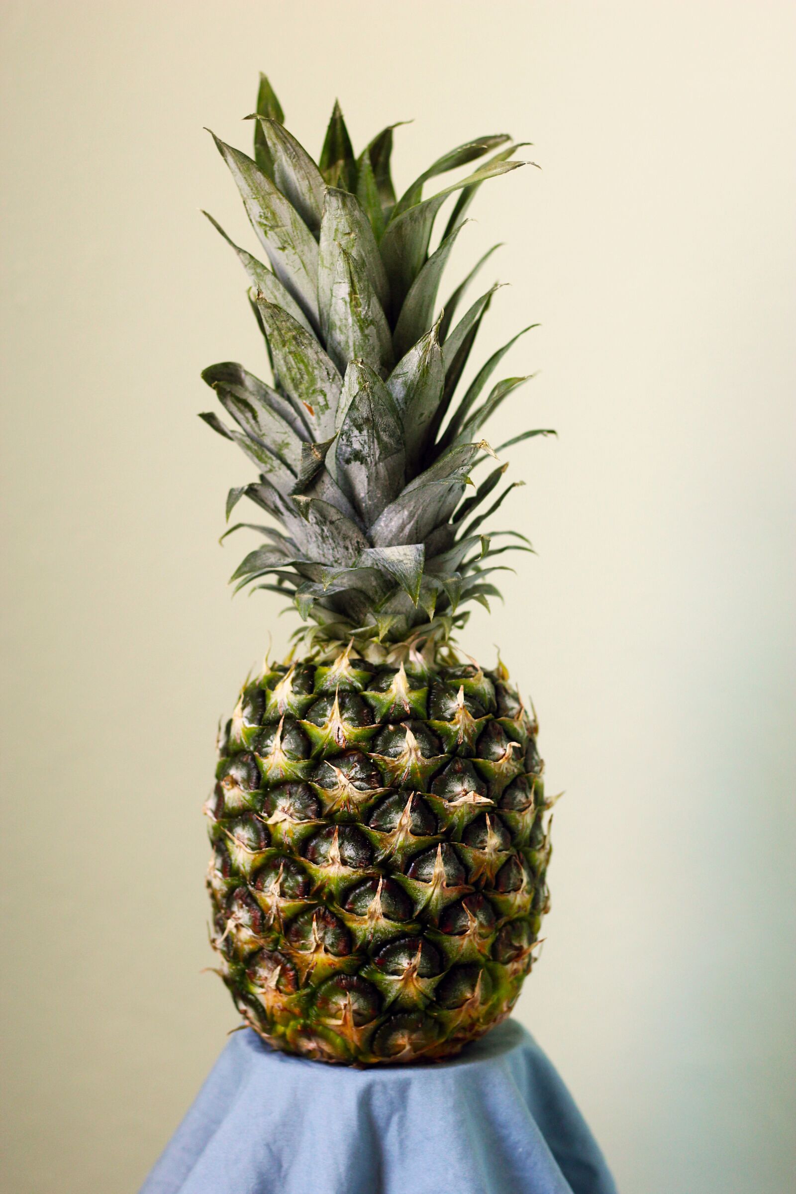 Canon EOS 550D (EOS Rebel T2i / EOS Kiss X4) sample photo. Pineapple, fruit, tropical photography