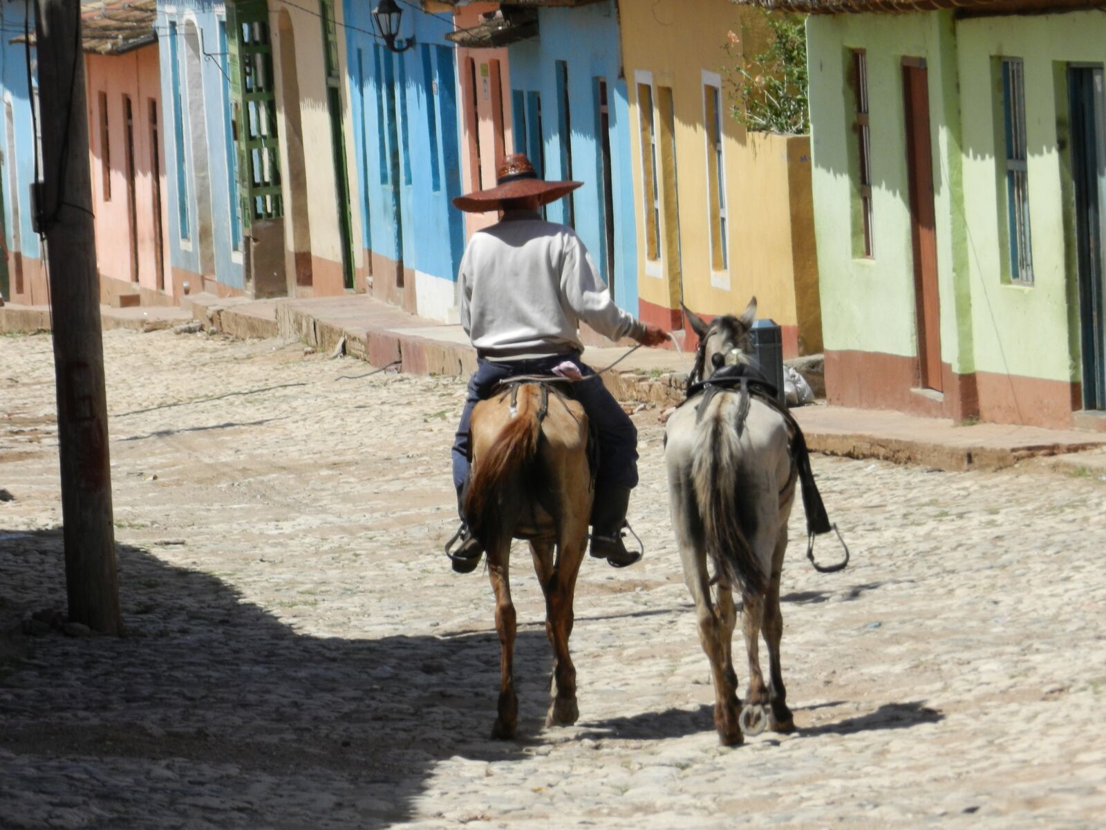 Nikon Coolpix P500 sample photo. Cuba, trinidad, horse photography
