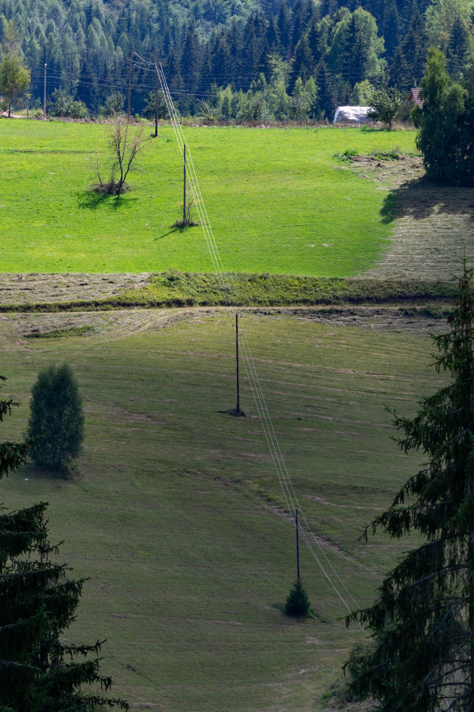 Nikon D3300 sample photo. Electric wire, mountain, forest photography