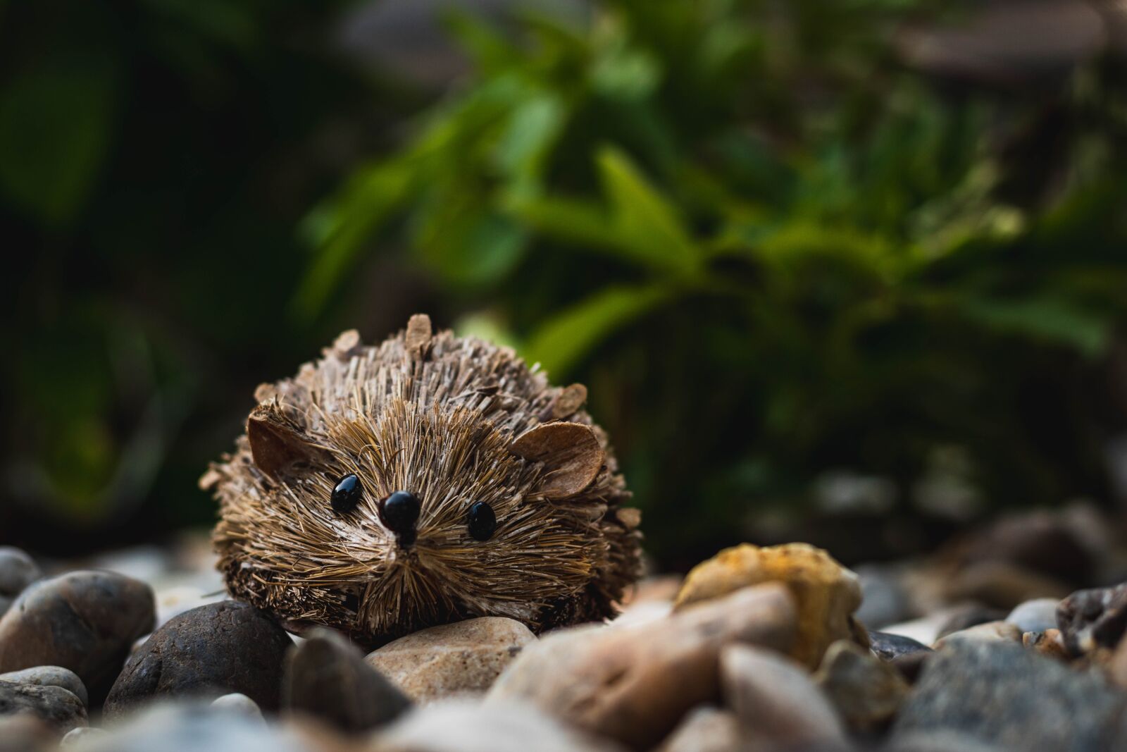 Nikon D5600 sample photo. Hedgehog, stones, rhinestones photography