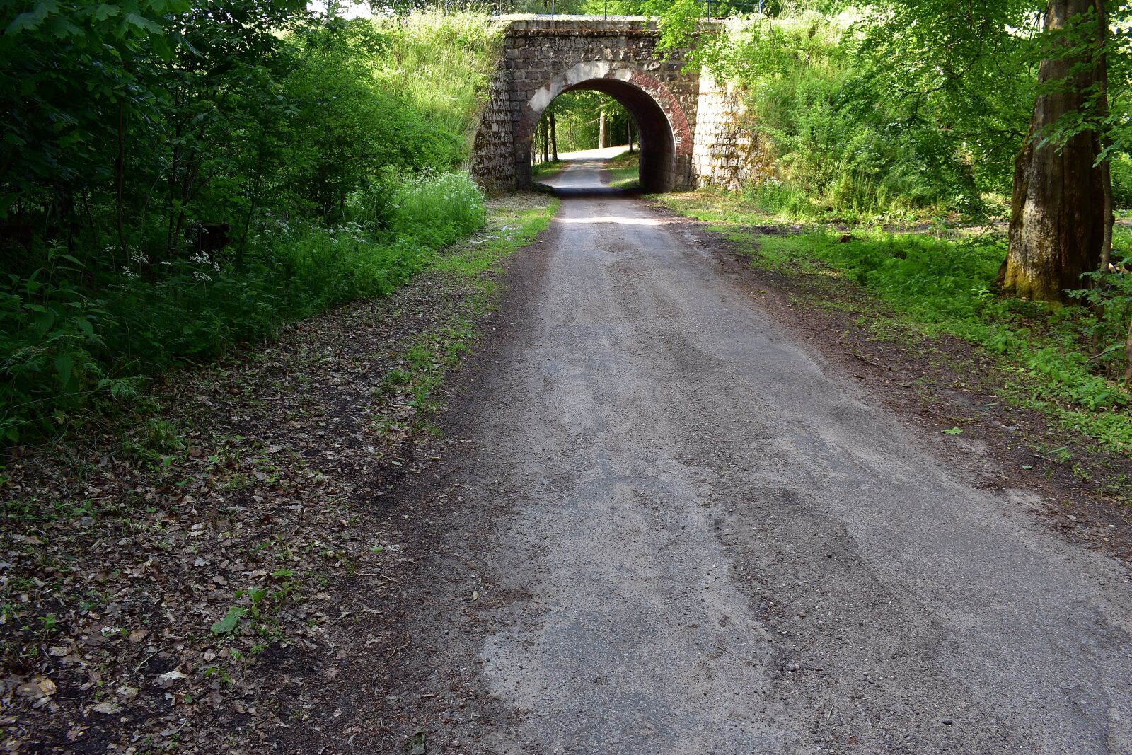Nikon D3400 sample photo. The viaduct, bridge, road photography