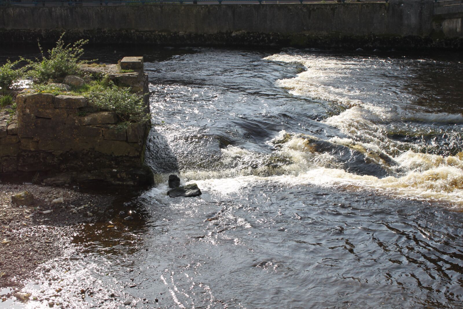 Canon EOS 500D (EOS Rebel T1i / EOS Kiss X3) sample photo. My, around, ireland photography