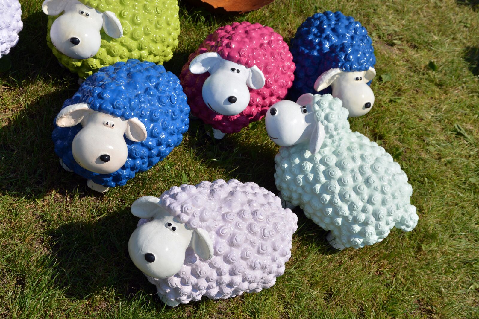 Nikon D5200 sample photo. Sheep, funny, colorful photography