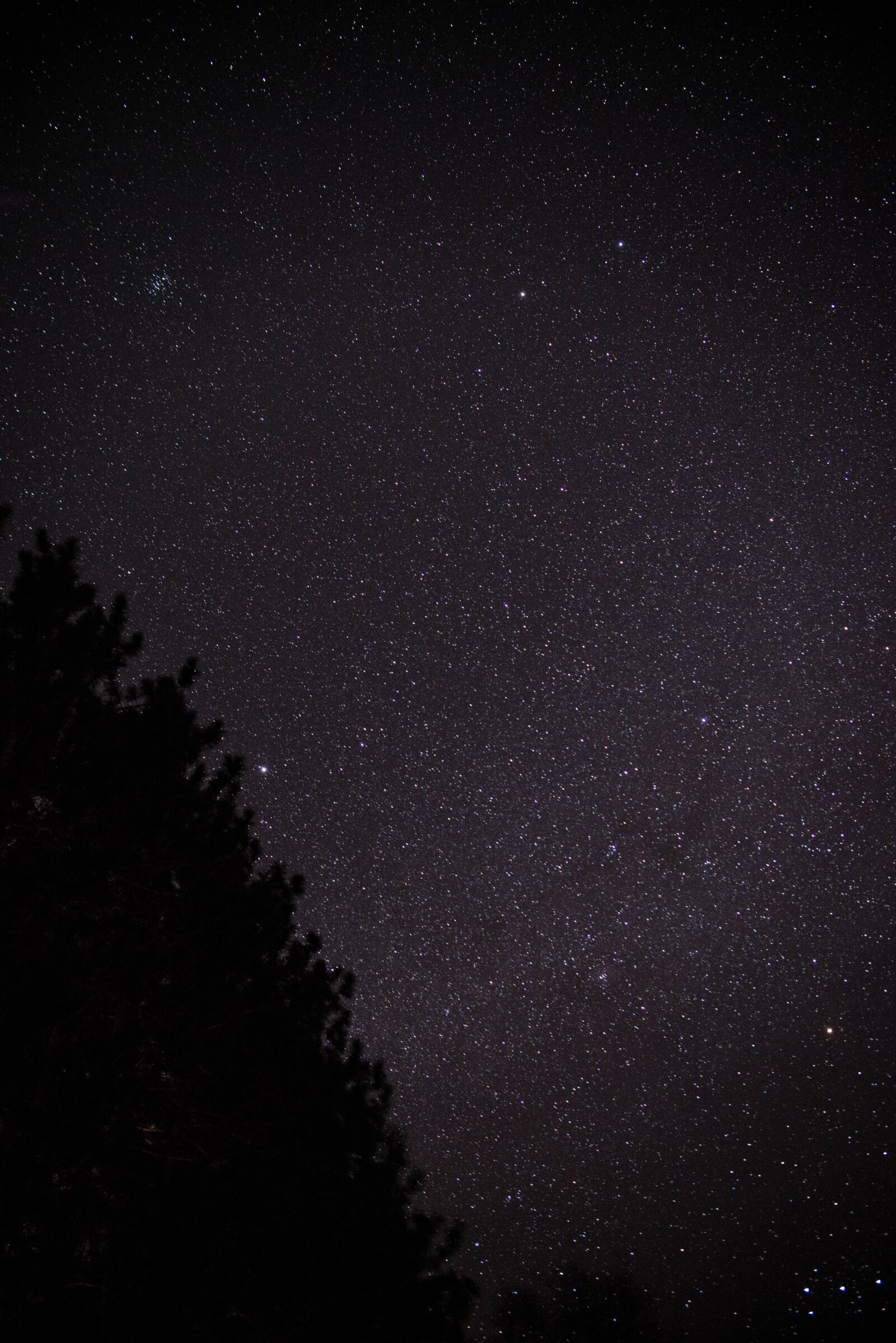 Nikon D800E sample photo. Stars, astronomy, astrophotography photography