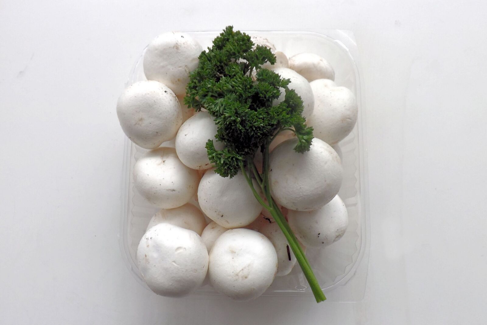 Fujifilm FinePix S4300 sample photo. Mushrooms, white, white mushroom photography